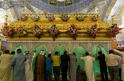 مرقد أمير المؤمنين (عليه السلام) وأرجائه المباركة تزدانان بالورود الطبيعية استعدادا للاحتفال بذكرى ولادة الإمام الحسن المجتبى(عليه السلام)