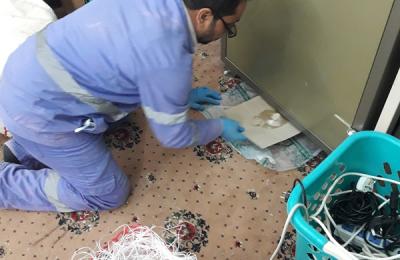 قسم السلامة المهنية والصحة في العتبة العلوية يباشر مهام مكافحة حشرة الأرضة في مجمع قنبر السكني