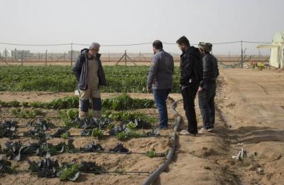 الأمين العام للعتبة العلوية يتفقد " مزرعة فدك " ويؤكد دعم المشروع للأسواق المحلية في النجف الأشرف