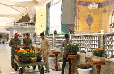 العتبة العلوية تزيّن الصحن المطهر بأكثر من ستة آلاف وردة طبيعية بمناسبة ولادة الإمام الحسن (ع)