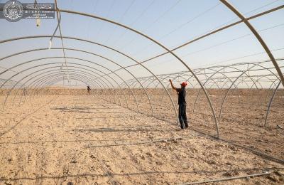  المباشرة بتنصيب هياكل البيوت المحمية وتسوية وتوسيع الأراضي الزراعية في مزرعة فدك