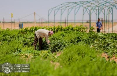 الكوادر الهندسية التخصصية في مزرعة فدك التابعة للعتبة العلوية المقدسة تستمر في تلبية احتياجات مضيف الإمام علي ( عليه السلام) لخدمة الزائرين