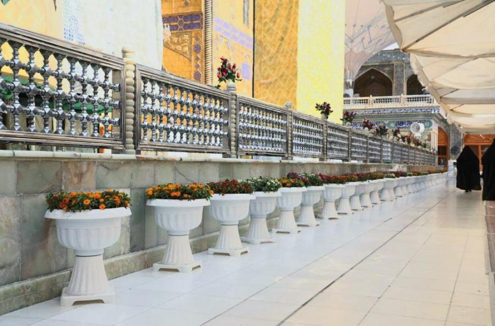 الصحن العلوي المطهر يزدان بأكثر من ستة آلاف زهرة بمناسبة ولادة سبط الرسول الأكرم (ص)الإمام الحسن المجتبى (ع) 
