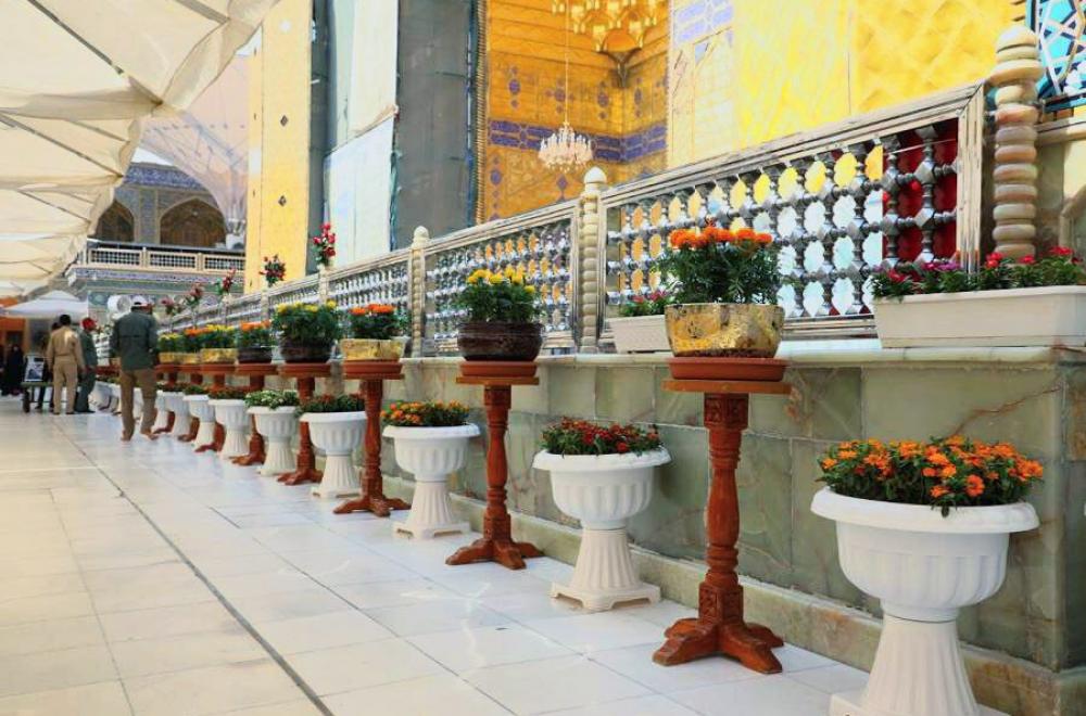 الصحن العلوي المطهر يزدان بأكثر من ستة آلاف زهرة بمناسبة ولادة سبط الرسول الأكرم (ص)الإمام الحسن المجتبى (ع) 