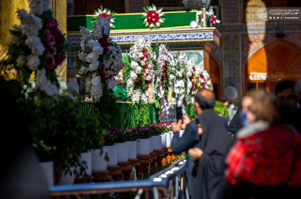 رفع راية ( يا سيدة نساء العالمين ) ونشر معالم الاحتفال بالذكرى العطرة لولادة سيدة النساء السيدة الزهراء ( عليها السلام) 