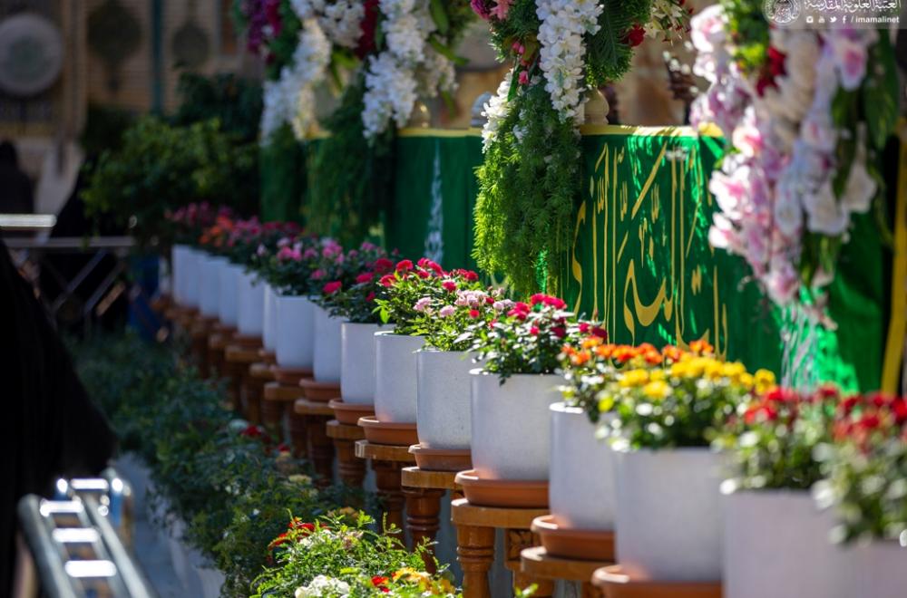 رفع راية ( يا سيدة نساء العالمين ) ونشر معالم الاحتفال بالذكرى العطرة لولادة سيدة النساء السيدة الزهراء ( عليها السلام) 