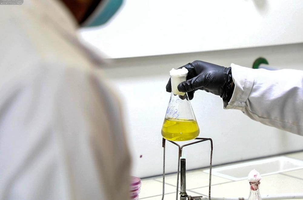 مركز الأمين للأبحاث والتقانات الإحيائية في العتبة العلوية المقدسة يستقبل وفداً من طلبة جامعة القاسم (عليه السلام)   