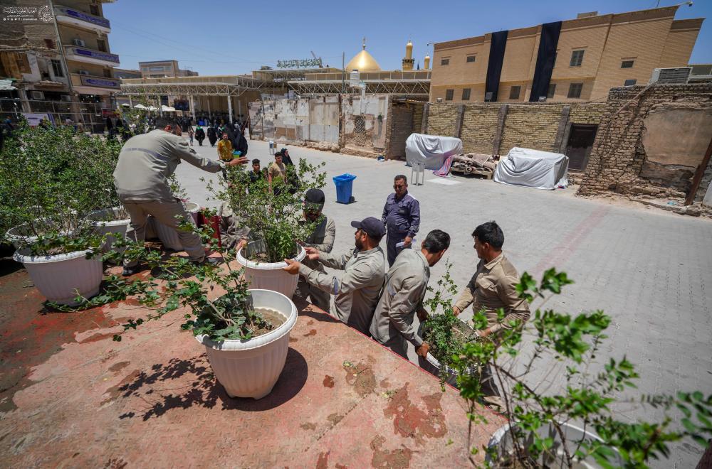 مئات الآلاف من الورد الطبيعي تفوح بعطرها في رحاب الغدير الأغرّ 