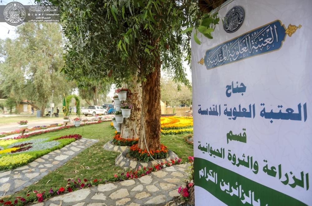 مشاركة متميزة لجناح العتبة العلوية المقدسة في مهرجان الزهور في العاصمة بغداد