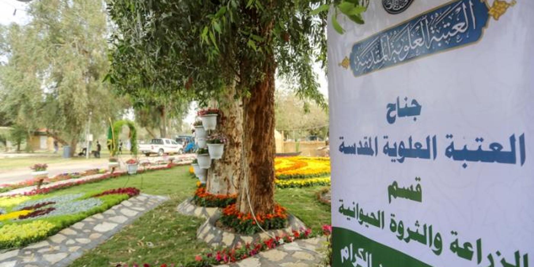 حصول جناح العتبة العلوية في مهرجان بغداد الدولي للزهور على المرتبة الثانية في أول مشاركة له 