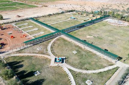 بالصور.. استراحة 15 شعبان في مزرعة فدك تشهد توافد الزائرين والعائلات النجفية