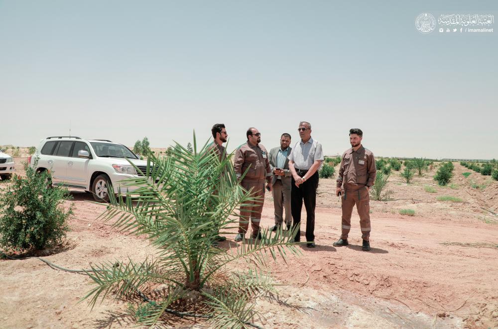وفد مركز النخيل والتمور في العراق يطلع على مشاريع زراعة النخيل في العتبة العلوية 