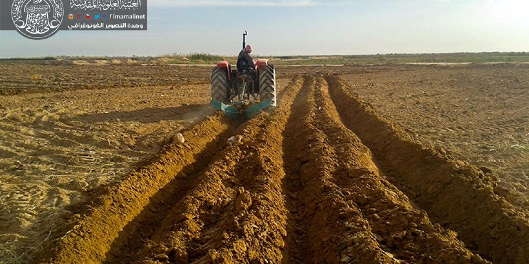مشروع مزرعة فدك شمس الزراعة احد مشاريع العتبة العلوية المقدسة الاستراتيجية